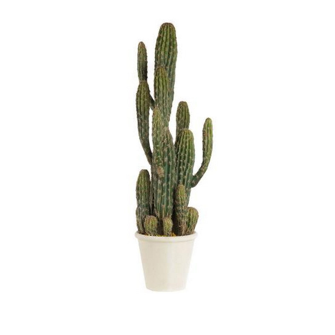 L'Oca Nera Cactus - 1N17 - Stilato